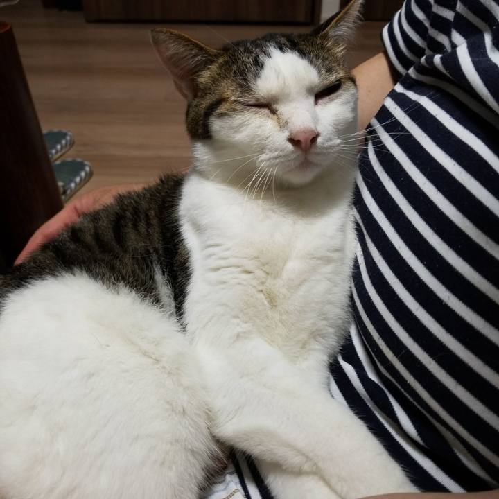 2d3d74a2 3b1d 469a af35 9ac07ccf74e6 1558354908586