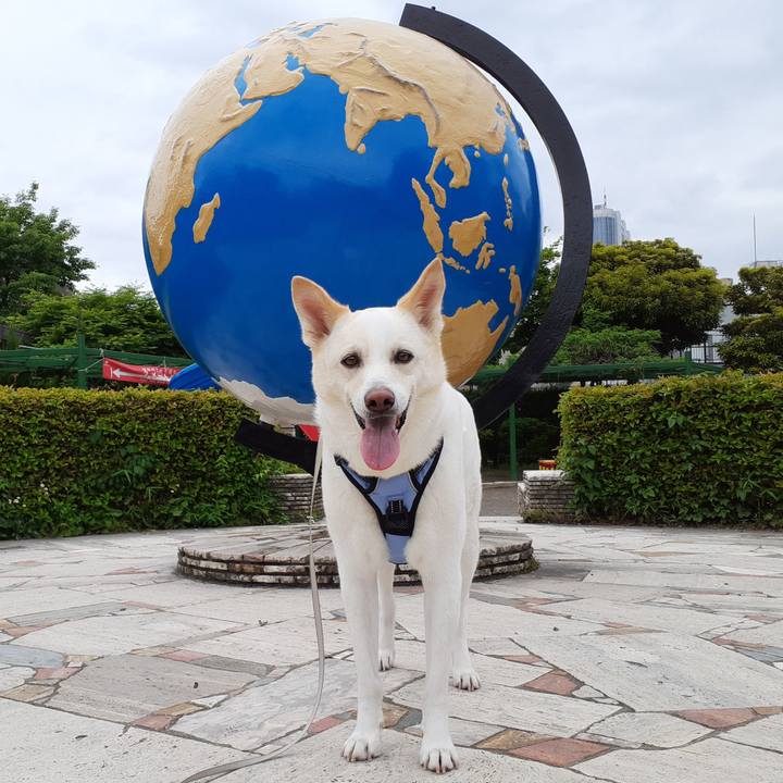 2d3d963a be72 4801 bf2a ae10111dfc0c 1652589166582