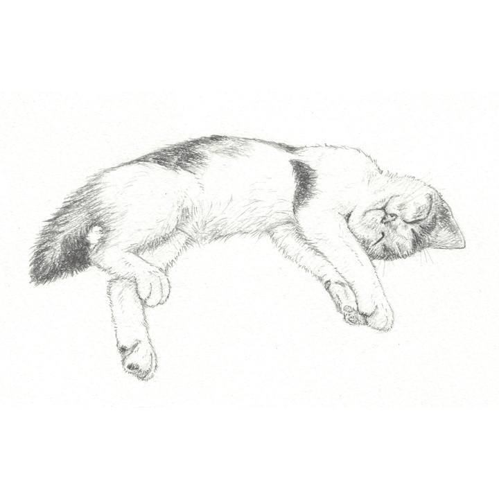 2d3da4ea 7c54 4328 b838 60f6d40cf5f6 1545400770125