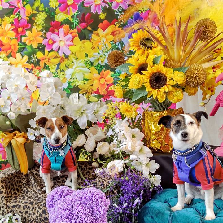 2d3dca08 8916 4e45 8d32 b20d34a262b1 1616914587681