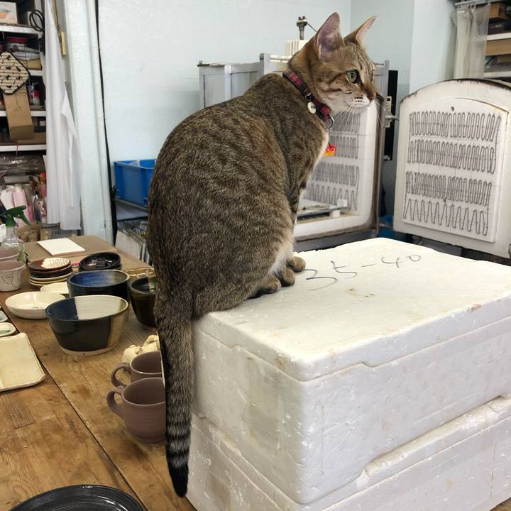 2d3dcb47 21b9 4218 bc74 cbc1a45d68b6 1606883446977