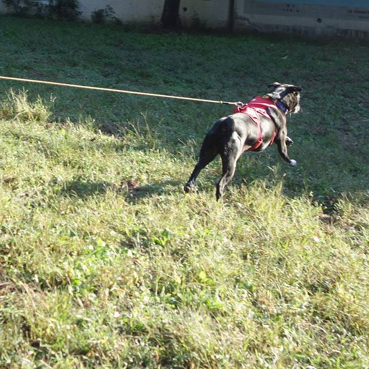 2d3df5e9 57fc 41f3 8e8a d0b8a1e87f67 1666313066761