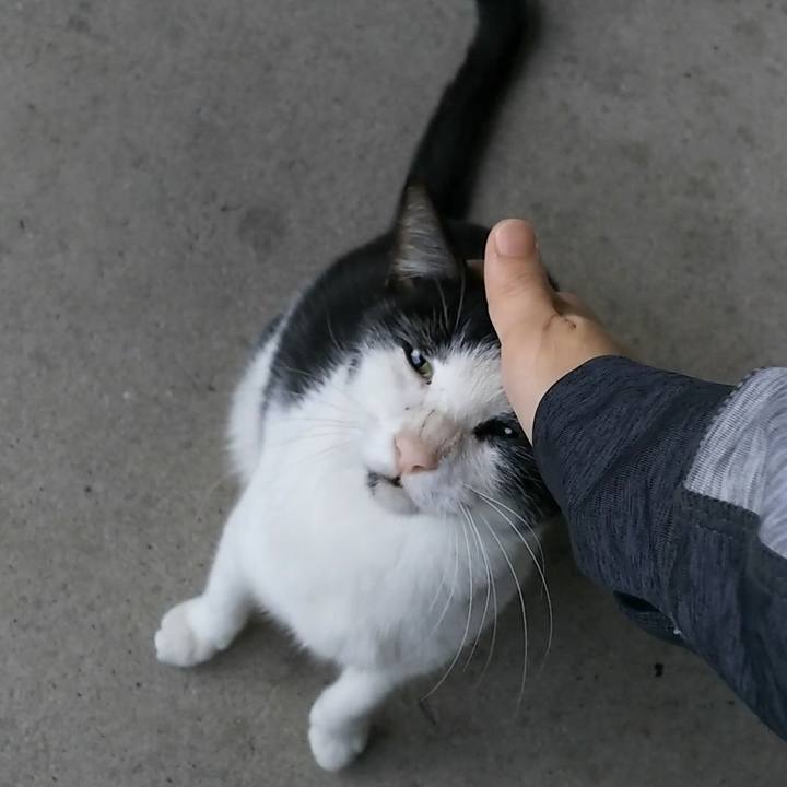 2d3e84ec 30d4 45e8 b183 581c714f4f41 1539424378119