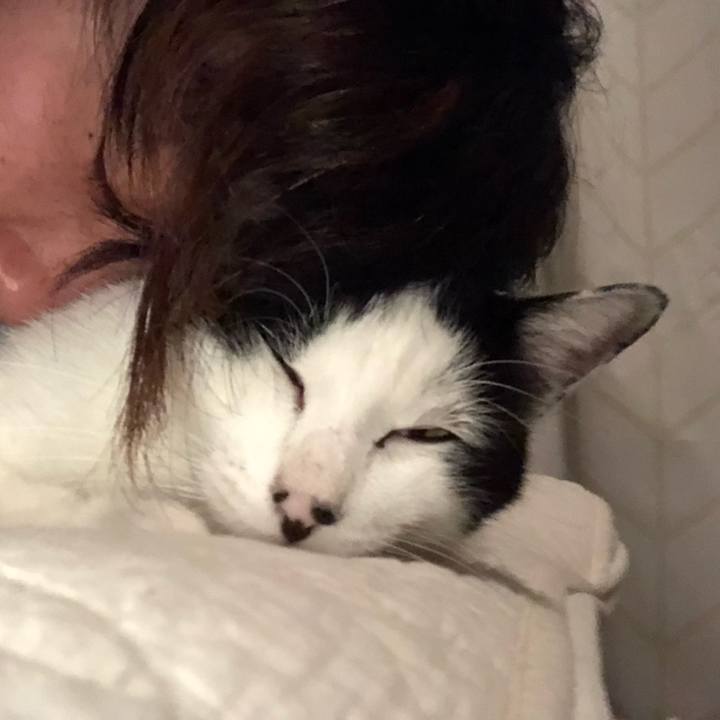 2d3ec594 1130 4c6b b588 854c3b6f16f0 1572688291602