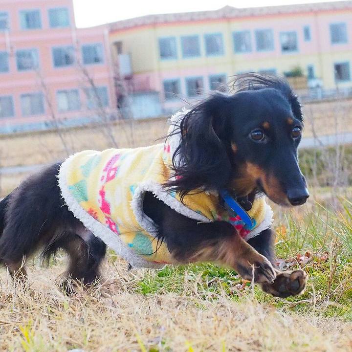 2d3ed2b8 55a5 4a8e 83e7 7a279f935b6c 1514861563586