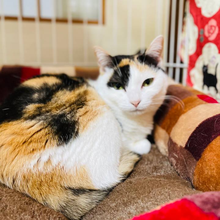 2d3eeecb 33bf 45fc 958d 1be211f459d3 1609986614907