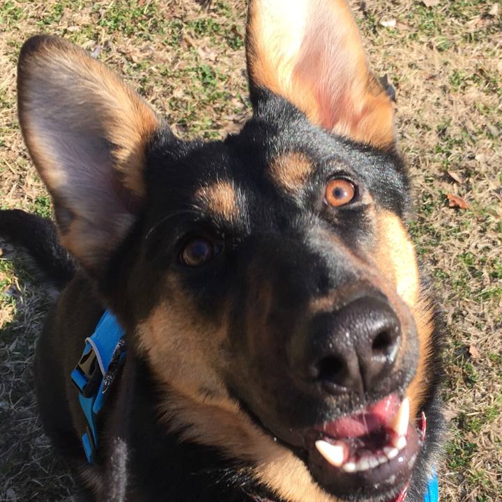 2d3f2bf0 e486 42a1 b2ce 2e6da0012c4c 1519895808048