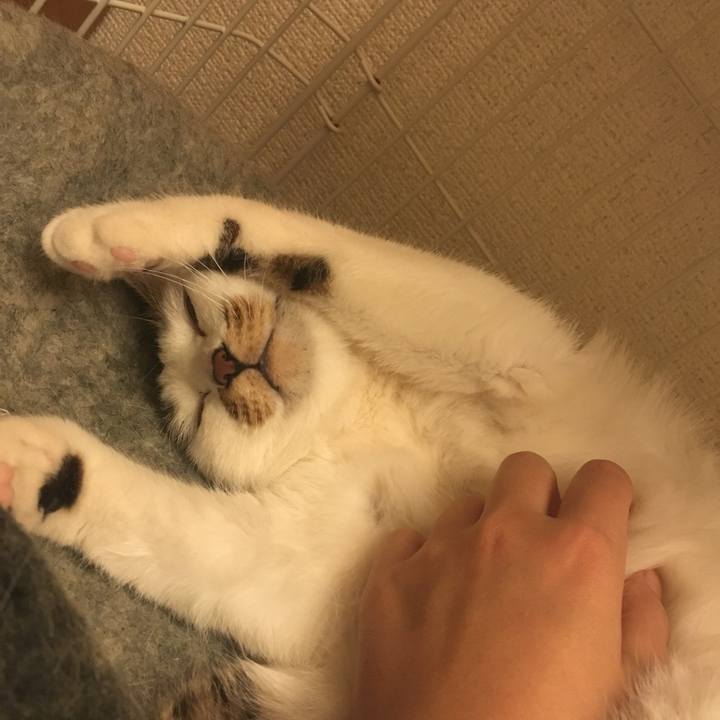 2d3f3966 30e8 4e3f a472 b8a188930ba2 1519568914579