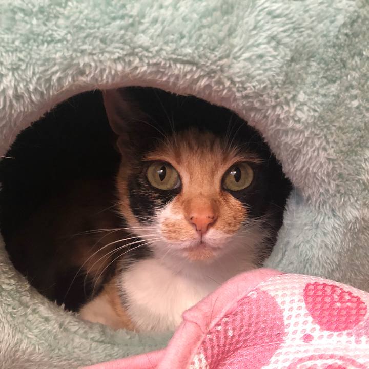 2d3f84c9 ecec 4c41 83e9 a07449db8ae7 1555933354419