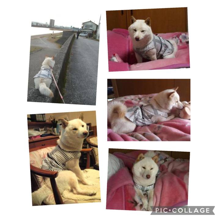 2d3f9b95 a5ae 470b b35c bcdf90095cc7 1647927038786