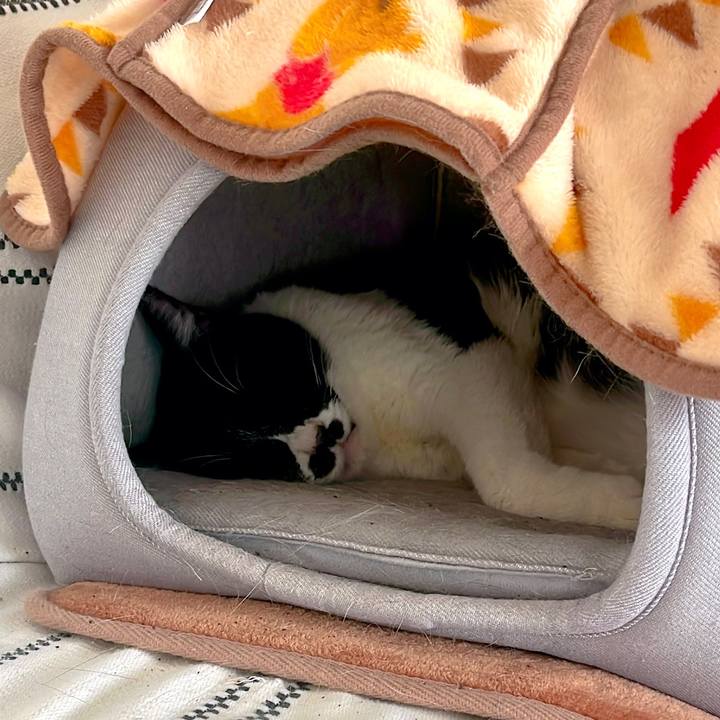 2d3f9d13 b54a 46d0 9419 a2a5e7ae8ad5 1673053476467