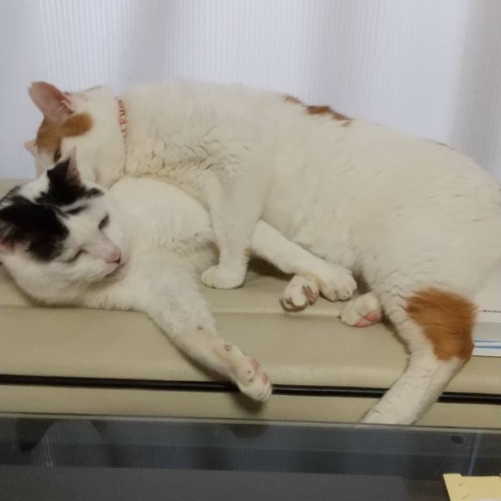 2d3facc2 a54e 4688 af78 af0b14588227 1718604283022