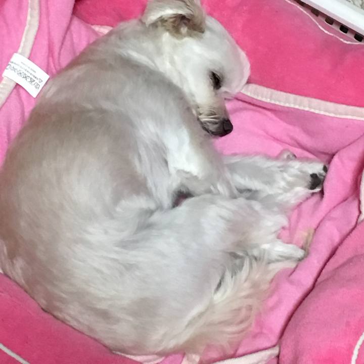 2d3fb349 b0f8 451b a26e cda1f08948ae 1512039978990