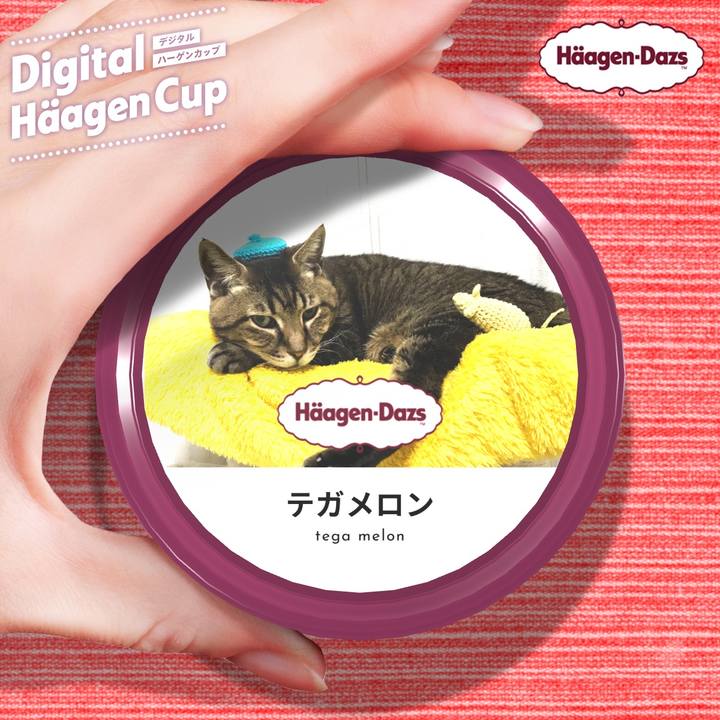 2d3fb848 93c3 45ca 96e6 d9cd0d63aa82 1607484066177