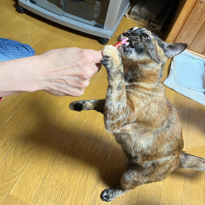 2d4011b9 a2a3 4477 b00d 00a312baf3a6 1683458554630