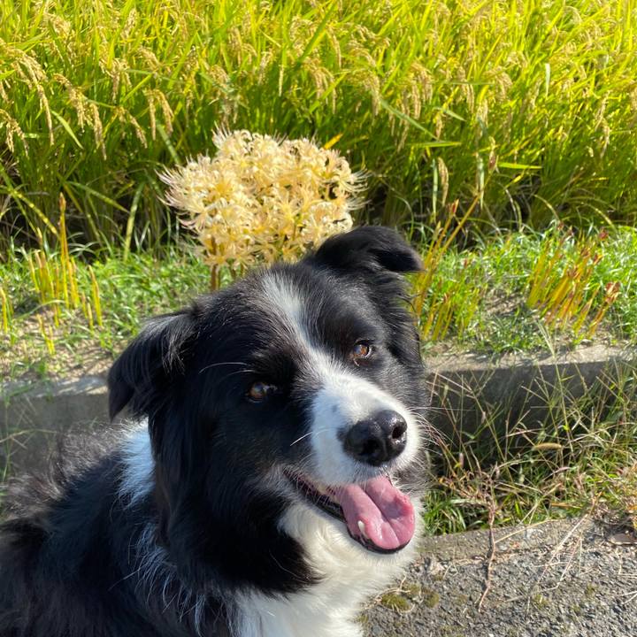 2d402e37 62ee 46e8 bfa3 bdfccf62555e 1600822211949