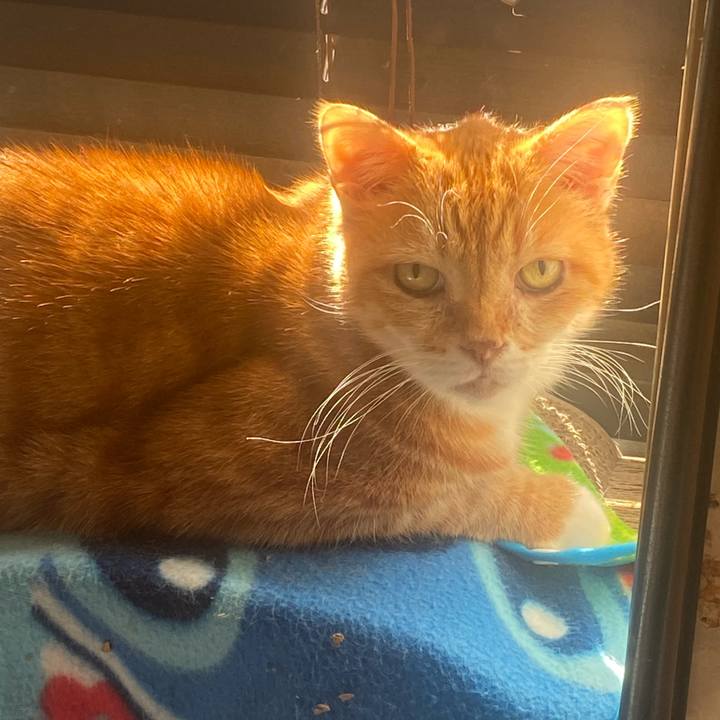 2d4031b9 d54f 4885 af69 1262671a14e3 1763794347645