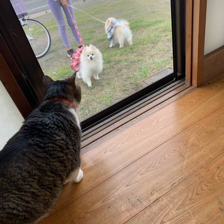 2d40632f 9645 4443 a8e1 25467c6d19ab 1683159569884