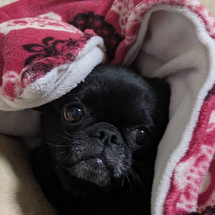 2d40afaf 88ae 4c64 a5a7 c9e1a6f6a519 1768485400713