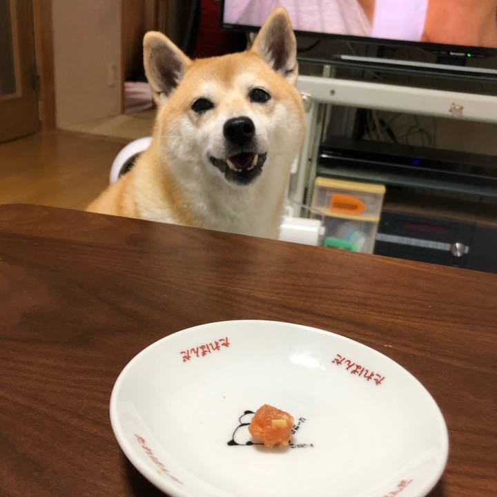 2d40baa1 0661 4214 8c69 4cc716fb2809 1571065464702