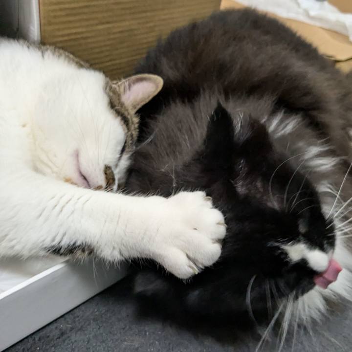 2d40c3bb d8af 4e87 8dc7 3510d5abdc67 1718930559330