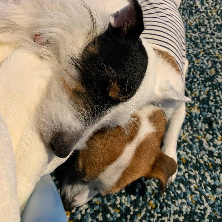 2d40edd4 055c 42b0 85ad 80ad514279f1 1599893160940