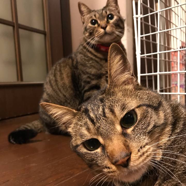 2d40ee93 0dcb 4370 8294 a96de7d22a87 1555343757037