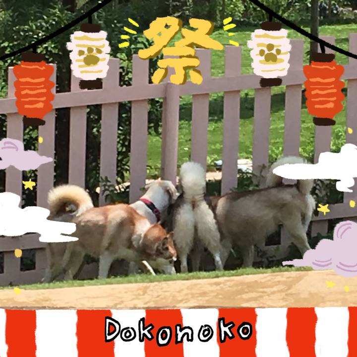 2d40f4ab fbae 41fe 8beb 9604b2175edf 1723703178448