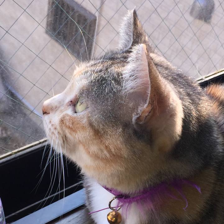 2d410e35 b5ea 45ce a4f1 a642d8e39e88 1552718729699