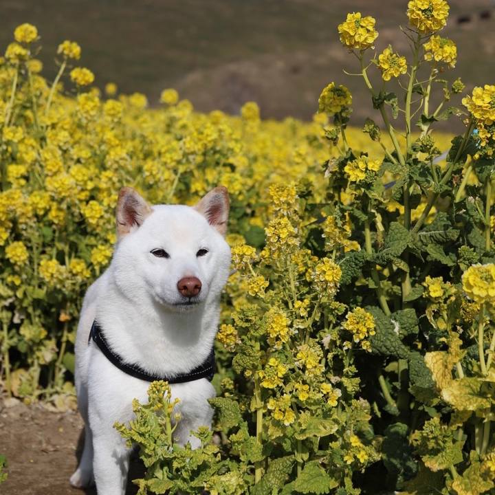 2d411738 b612 4f4c 9e30 e059ce980ba0 1646396951751