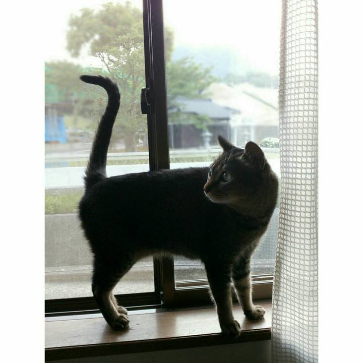 2d412cc8 3c12 441e a583 0c722ce275dd 1525764791105