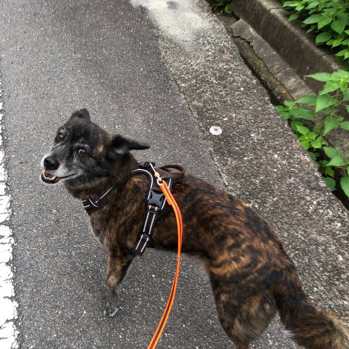 2d416f79 2f9c 4c8a 8eb2 8ebcd1b7a7fd 1622104097962