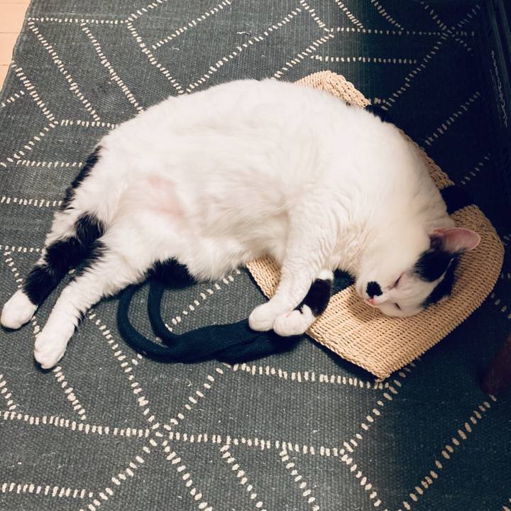 2d418db9 4ee2 44ad 8ecd 757669e434a0 1599284699070