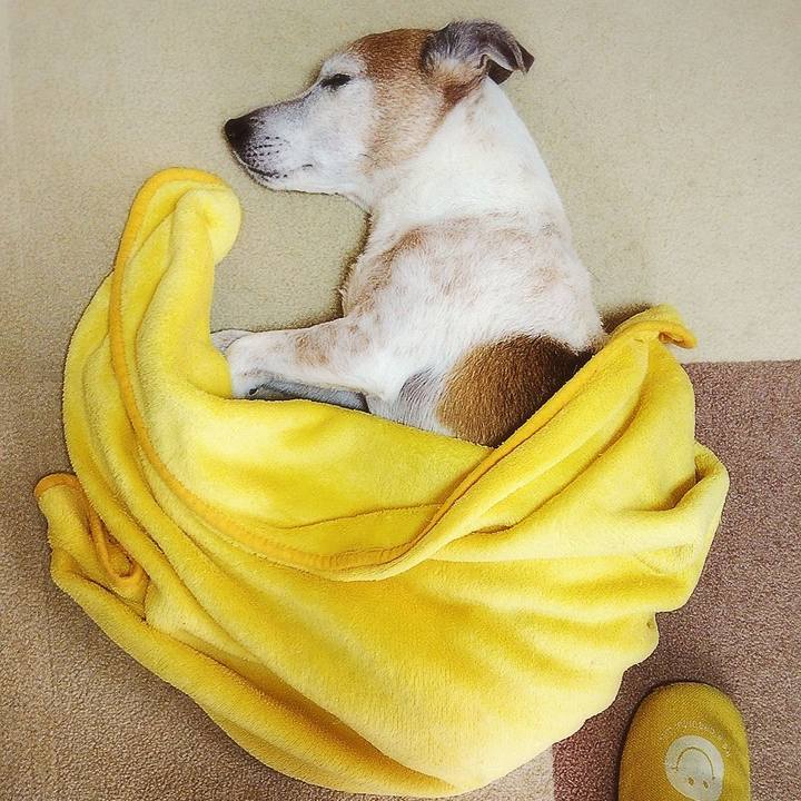 2d41afb8 9ea0 4b12 8152 fe2168efd3d6 1583646721102