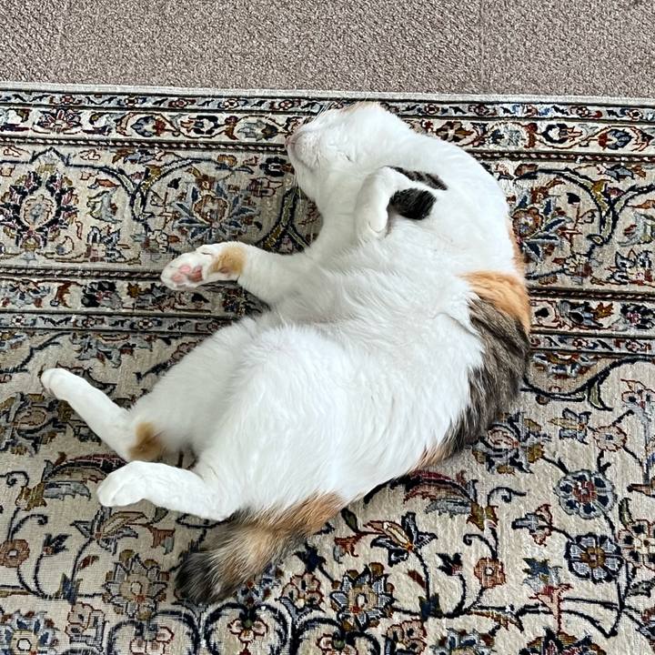 2d42087e 0fb5 4f67 9036 e3452186ded2 1772144943078