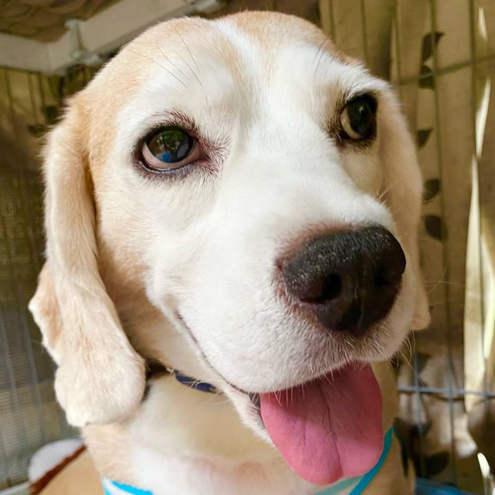 2d422b3e 14e1 425c 9574 e35ba35ec6c7 1628653669649