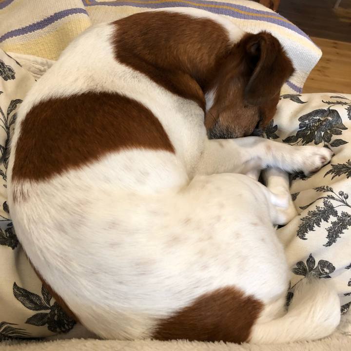 2d4244f0 62fe 441e bd14 8af86a21b9bf 1521268084395