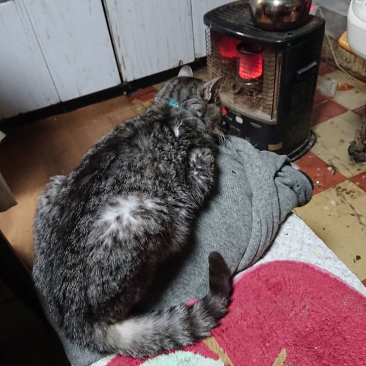 2d428339 f5b0 476c a307 5bc28f49a8b3 1577051956566