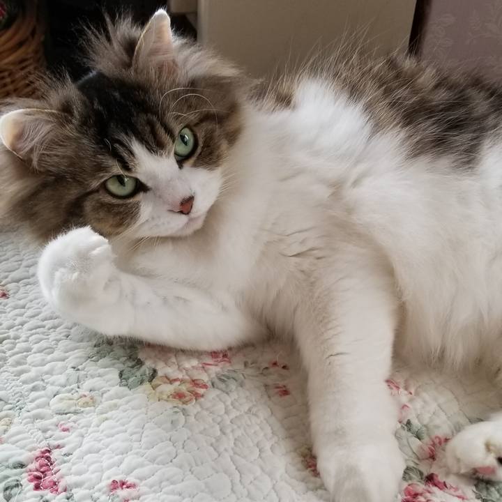 2d42c4fd c859 4e79 b3ce f92613c4ed5a 1587082989484