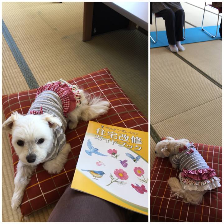 2d42d9ae 035b 4e4c be37 f1ba039eccf3 1522057776193