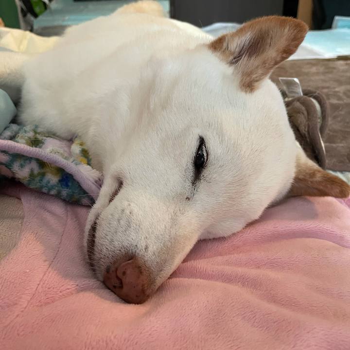 2d42e87d 0a70 4257 a98c 4d1b532a5282 1635310545300