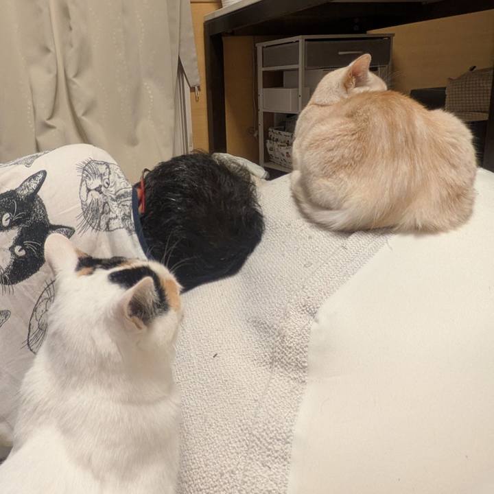 2d431369 6cfb 4322 9cde 431f3901659f 1755434237850