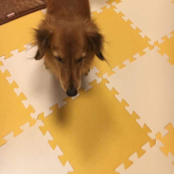 2d432c7f 496a 4af7 a553 6d86379909e1 1550402540072