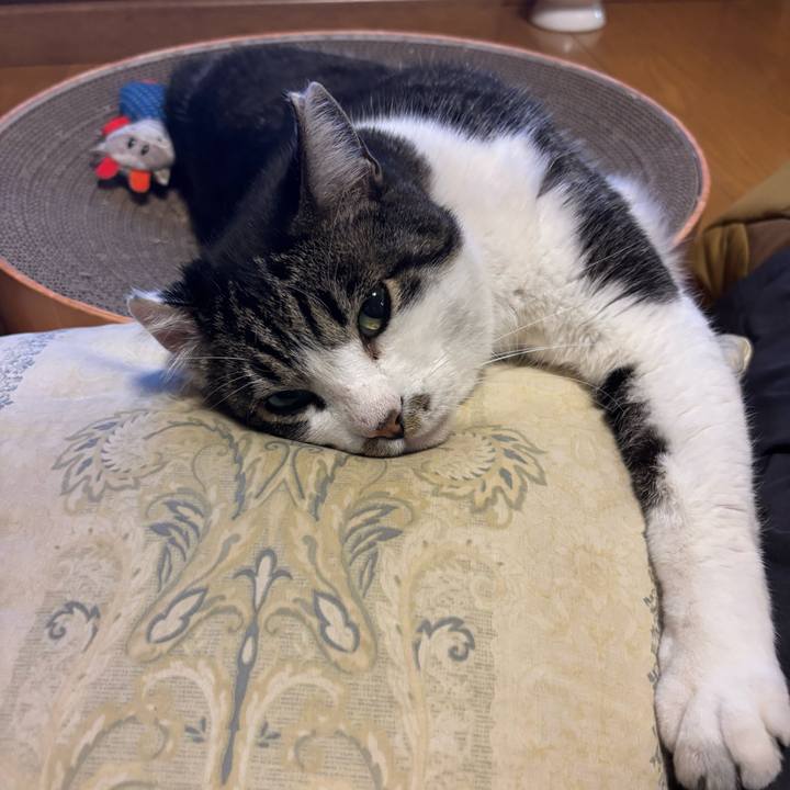 2d4372d9 c4e5 4bbf 9807 606a4ef80552 1767155281626