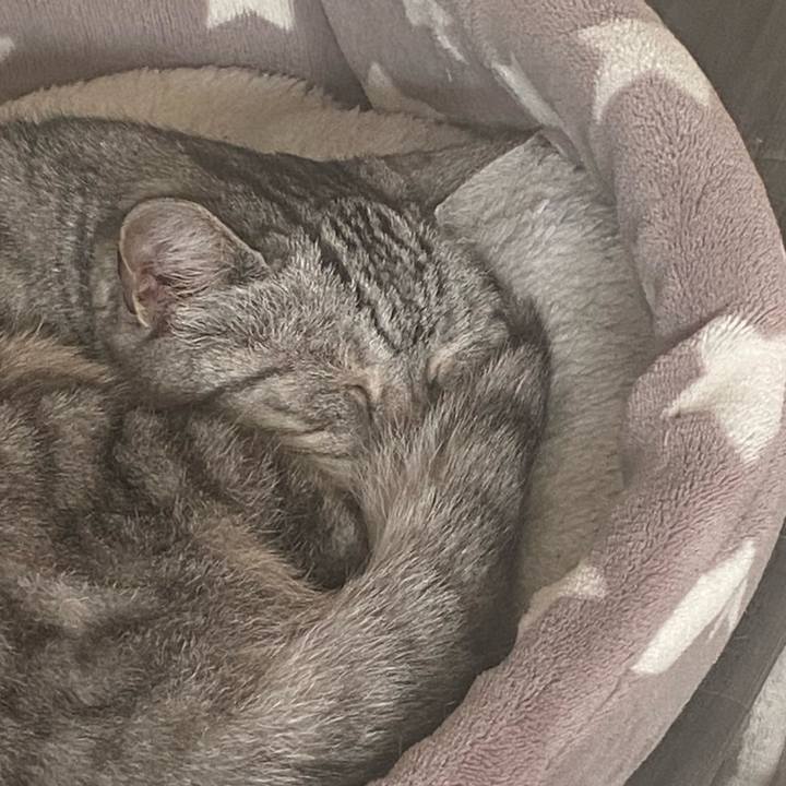 2d438e20 29da 4a79 83c3 226bc28452f1 1746327191099