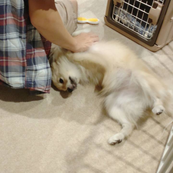 2d43921b 0df6 451f 891b 2f3af4f62d77 1758597476322