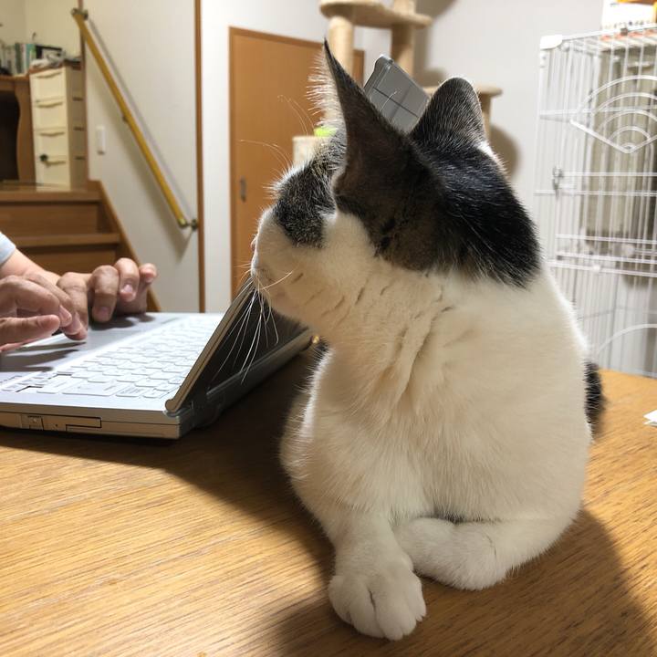 2d43cf0f 051b 45a9 8e9d 7b223db1cf23 1622636169756