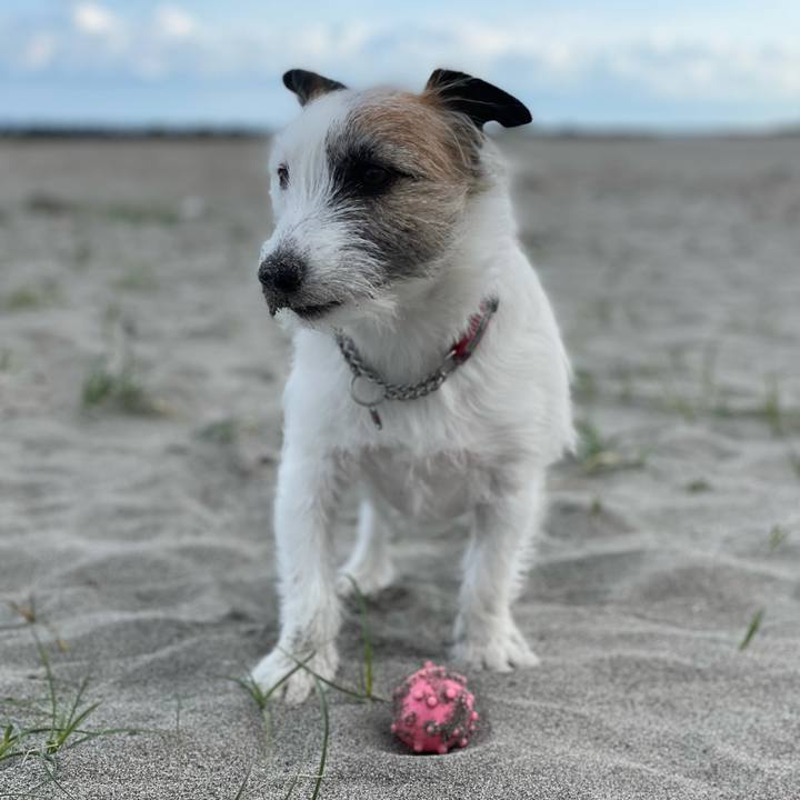 2d43fa45 bc36 4005 8380 74f4c9d7789d 1617748416808