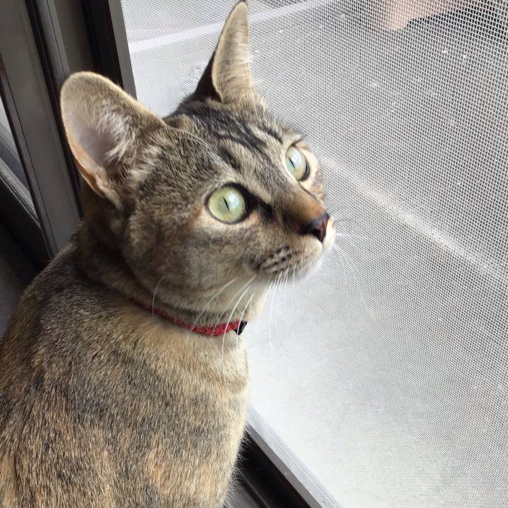 2d44122a df3f 4a45 85ea 479a13ecbb68 1585029227637