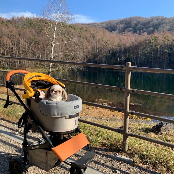 2d44378a 6b6a 40e4 91d5 3fda331adfb8 1668928257120